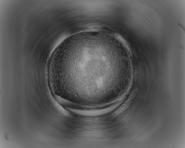 X0000097750859200803071247