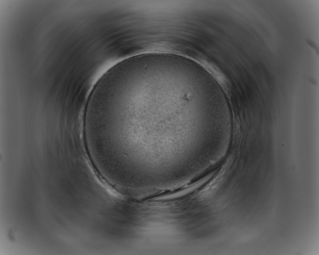 X0000097750862200803071247