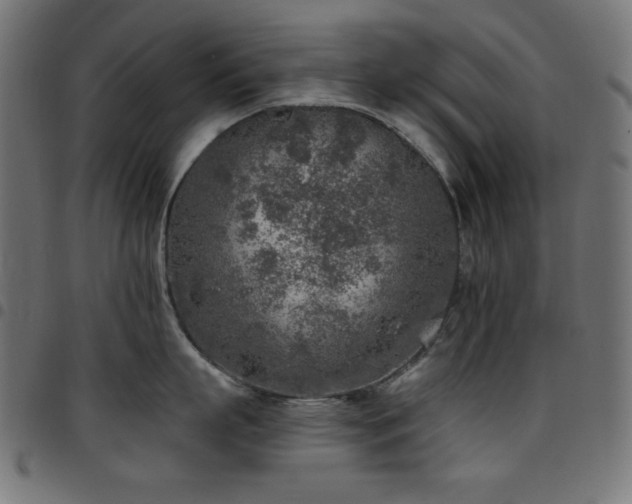 X0000097750863200803071247