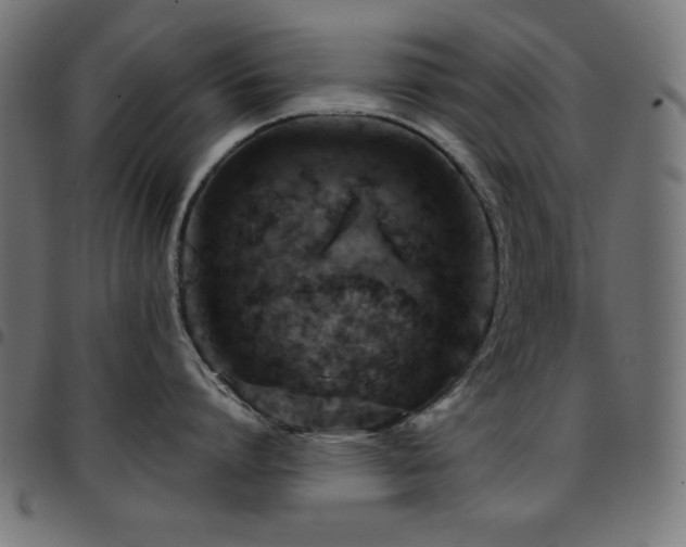 X0000097750864200803071247