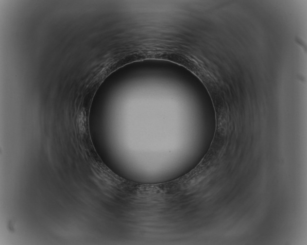 X0000097750866200803071246