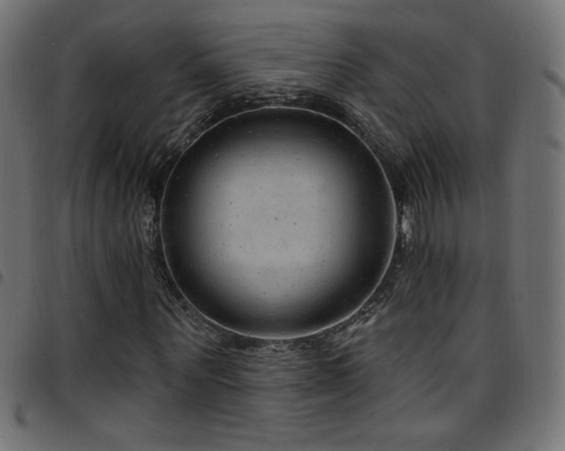 X0000097750867200803071246