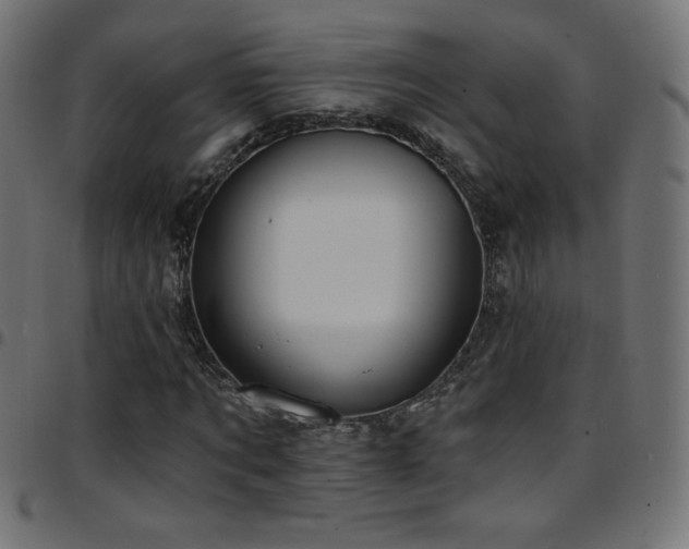 X0000097750869200803071246