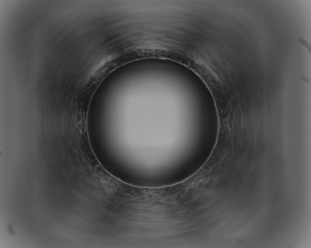 X0000097750870200803071246