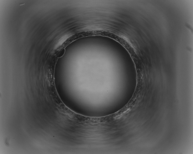 X0000097750871200803071246