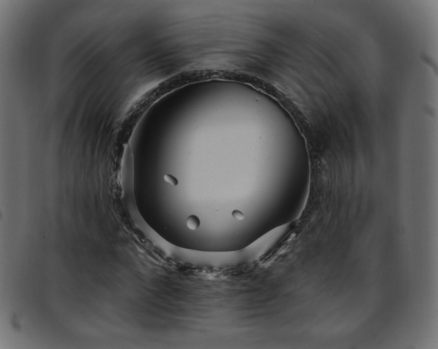 X0000097750872200803071246