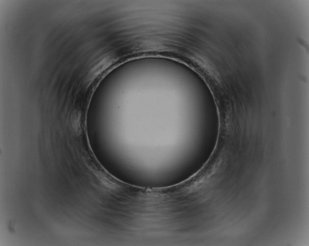 X0000097750873200803071246