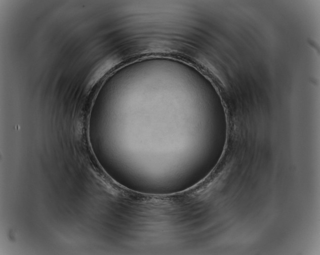 X0000097750874200803071246
