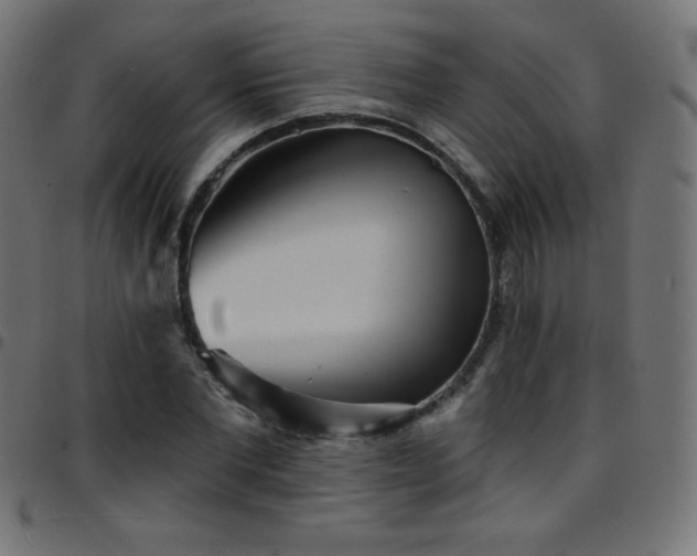 X0000097750877200803071246