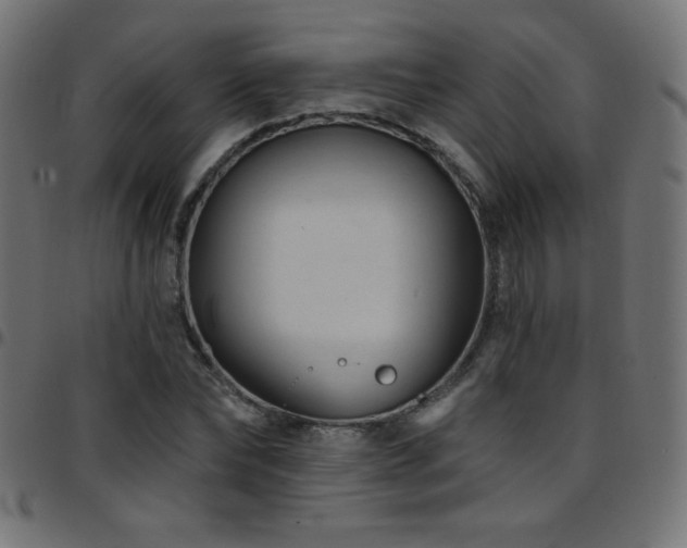 X0000097750878200803071246