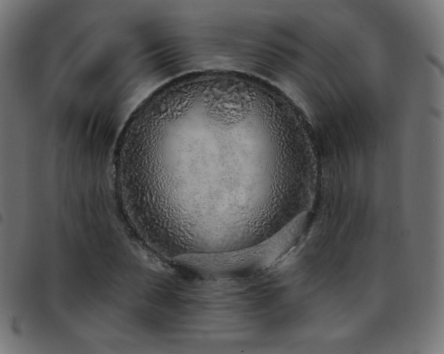 X0000097750879200803071246