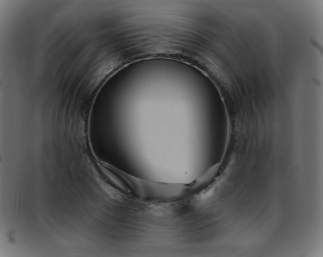 X0000097750881200803071246