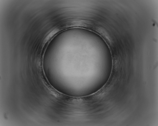 X0000097750882200803071246