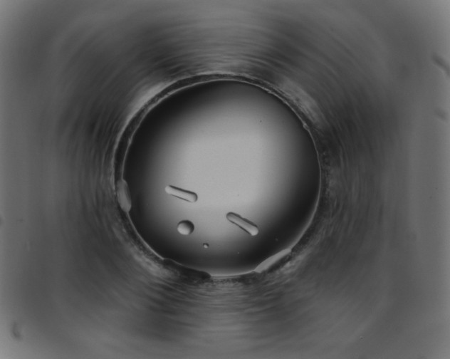 X0000097750884200803071246