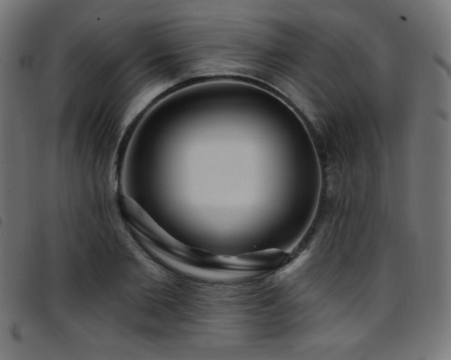 X0000097750885200803071246