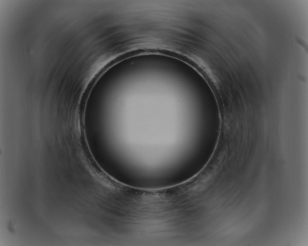 X0000097750887200803071246