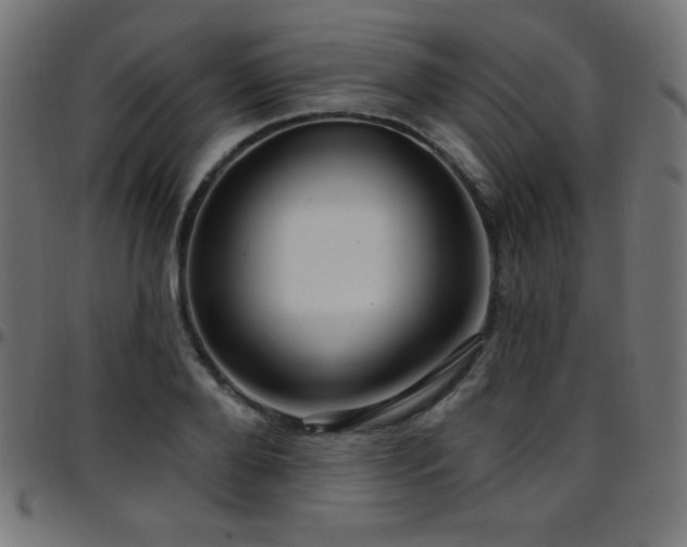 X0000097750888200803071246