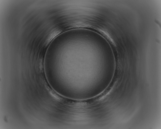 X0000097750889200803071246