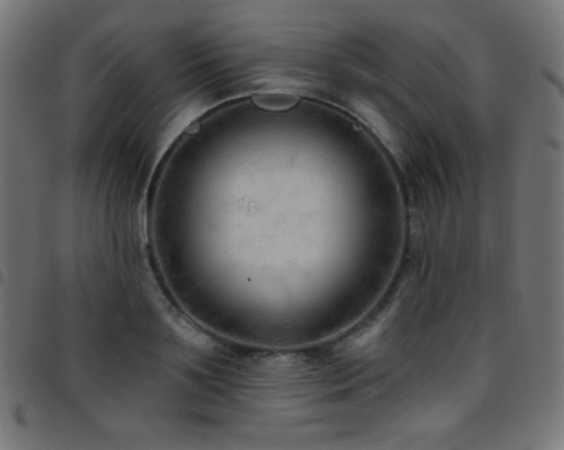 X0000097750891200803071246