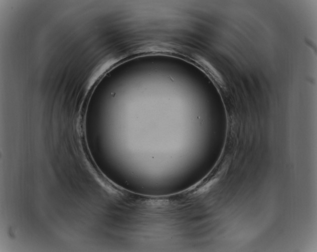 X0000097750893200803071246