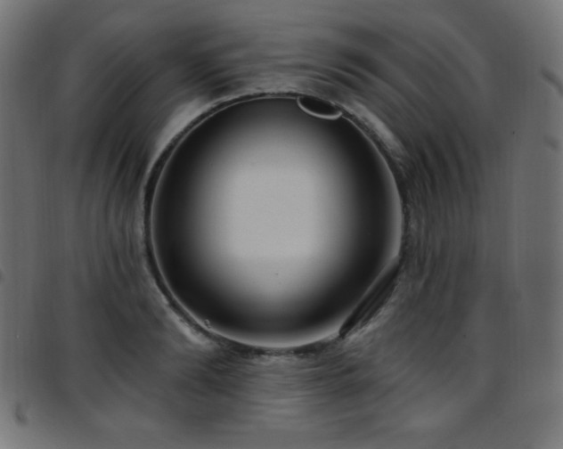 X0000097750894200803071246
