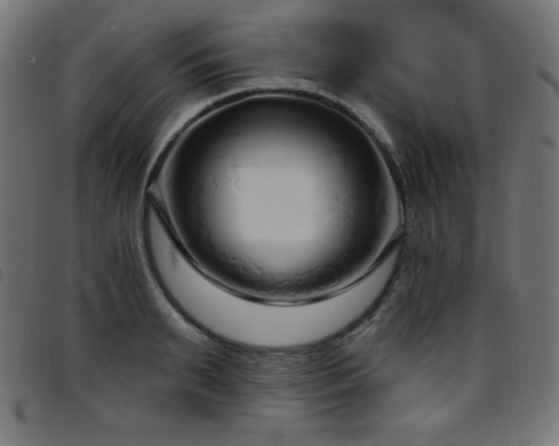 X0000097750895200803071246