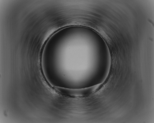 X0000097750896200803071246
