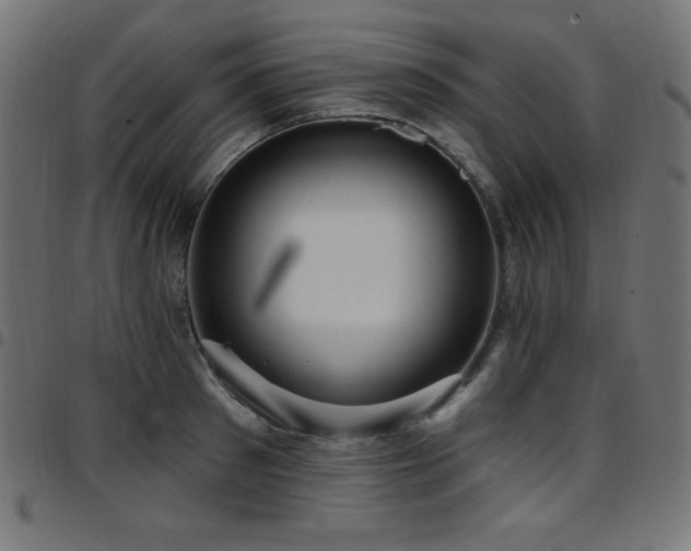X0000097750897200803071245