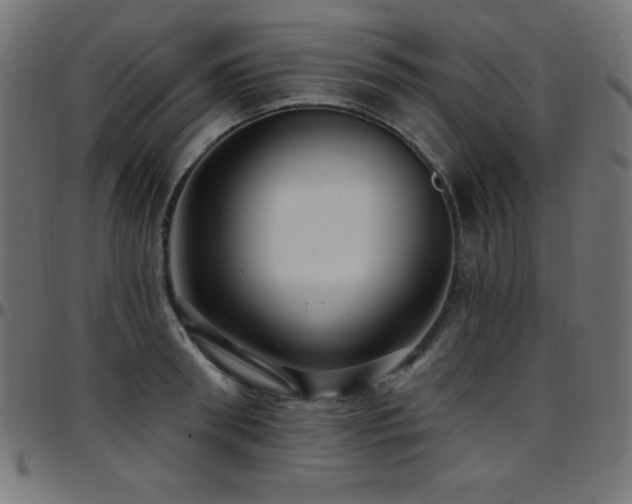X0000097750898200803071245