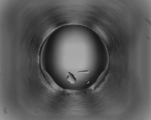 X0000097750900200803071245