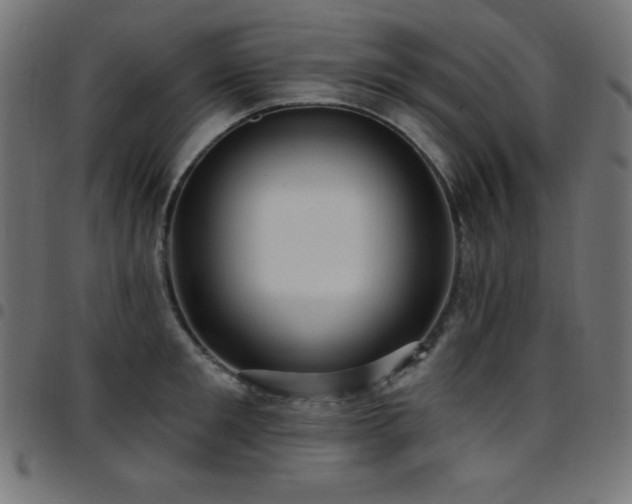 X0000097750901200803071245