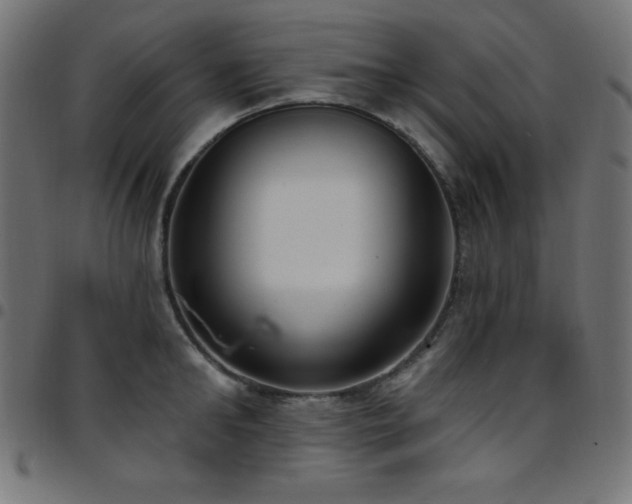 X0000097750902200803071245