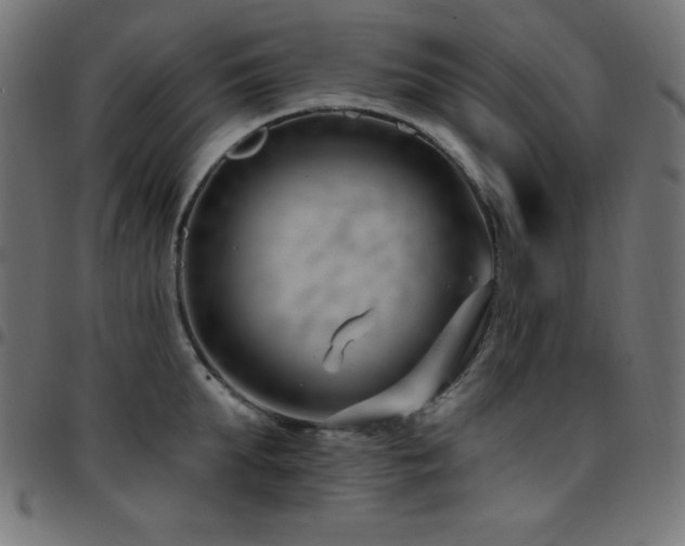 X0000097750903200803071245