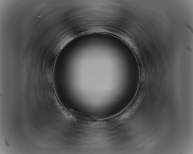 X0000097750905200803071245
