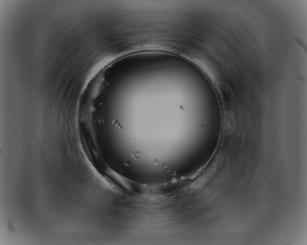 X0000097750910200803071245