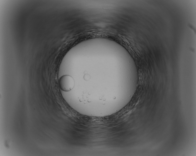 X0000097750913200803071245
