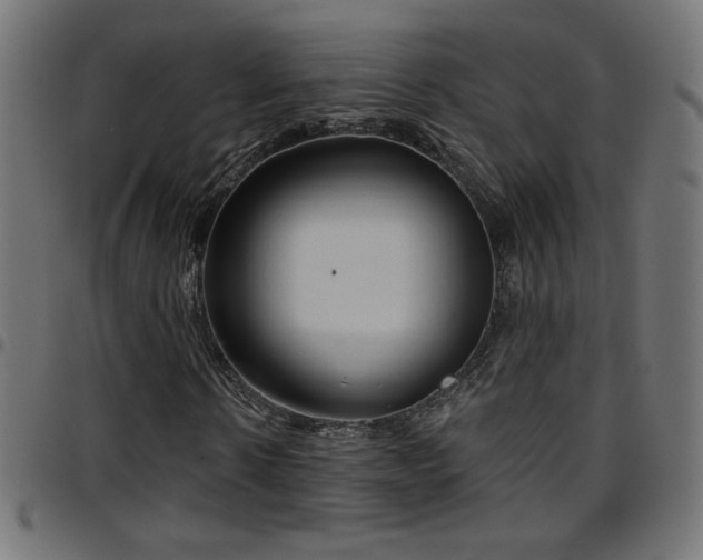 X0000097750914200803071245