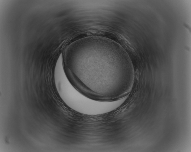 X0000097750915200803071245