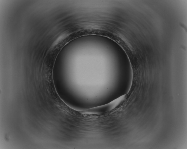 X0000097750919200803071245