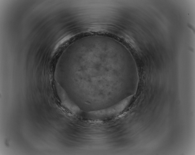X0000097750920200803071245