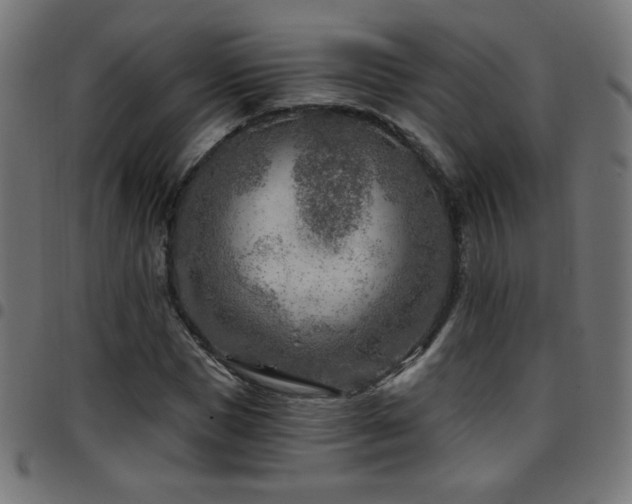 X0000097750921200803071245