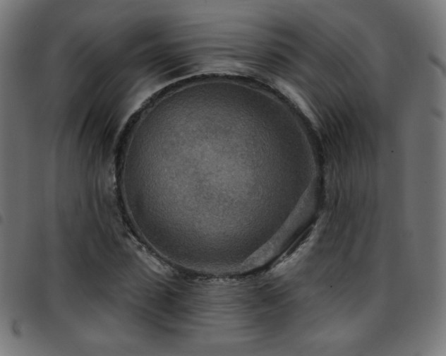 X0000097750923200803071245