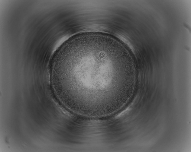 X0000097750925200803071245