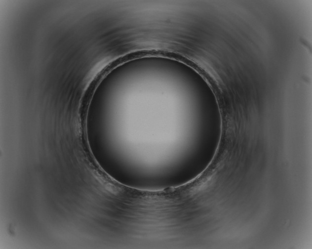 X0000097750927200803071245