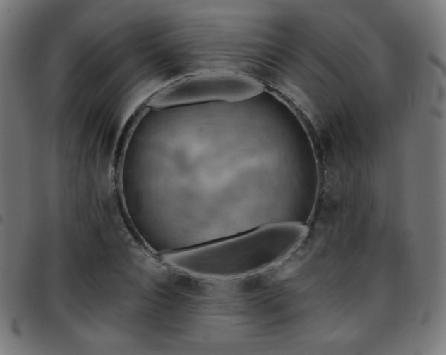 X0000097750928200803071245
