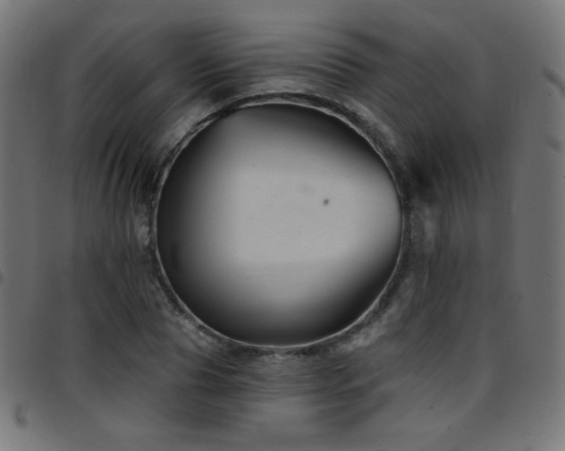 X0000097750929200803071245