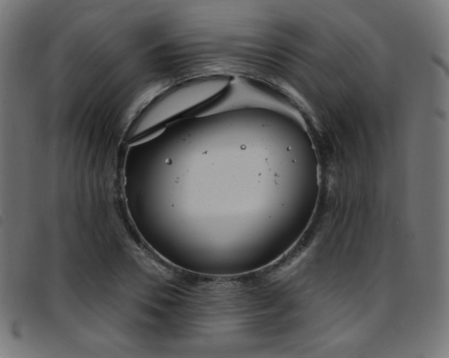 X0000097750930200803071245