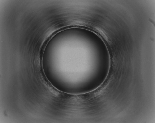 X0000097750931200803071245