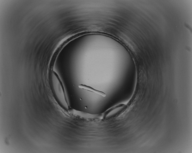 X0000097750932200803071245