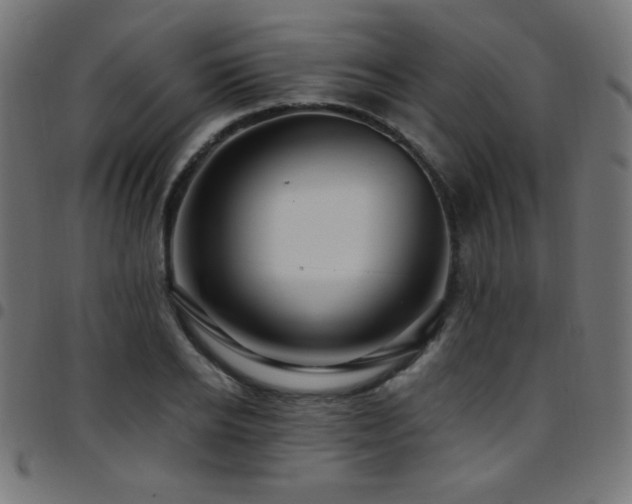 X0000097750934200803071245